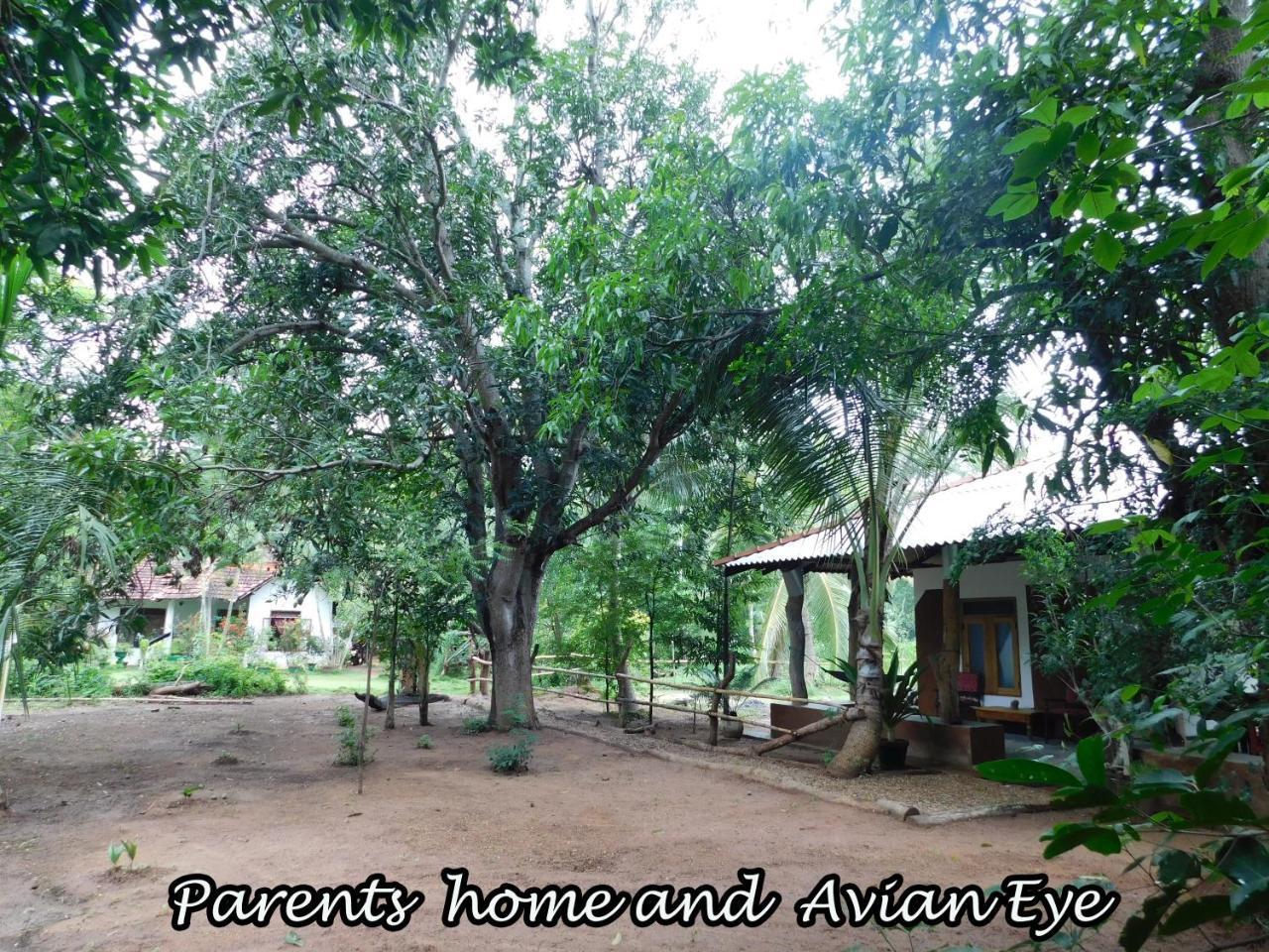 Apartament Yala Avian Eye Safari Buttala Zewnętrze zdjęcie