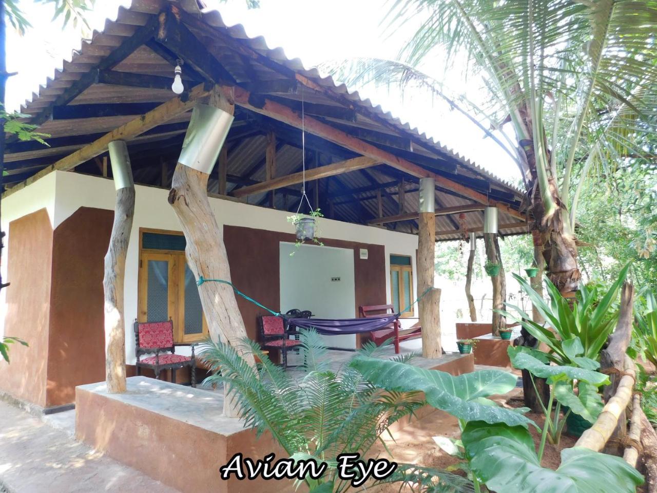 Apartament Yala Avian Eye Safari Buttala Zewnętrze zdjęcie